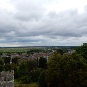 Meet your Posher, Plant